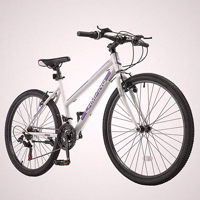 24 Inch 21 Speeds Adult Bicycle with Sturdy Steel Excellent Twist Shifting
