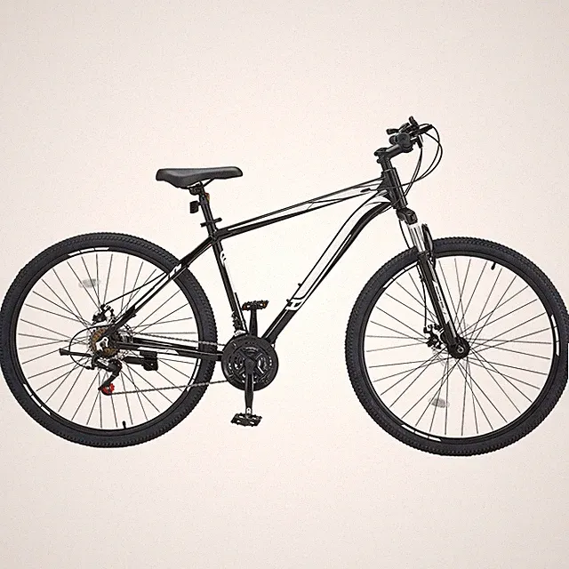 29-Inch Mountain Bike with SHIMANO 21-Speed Twist Shifting for Trail Riding