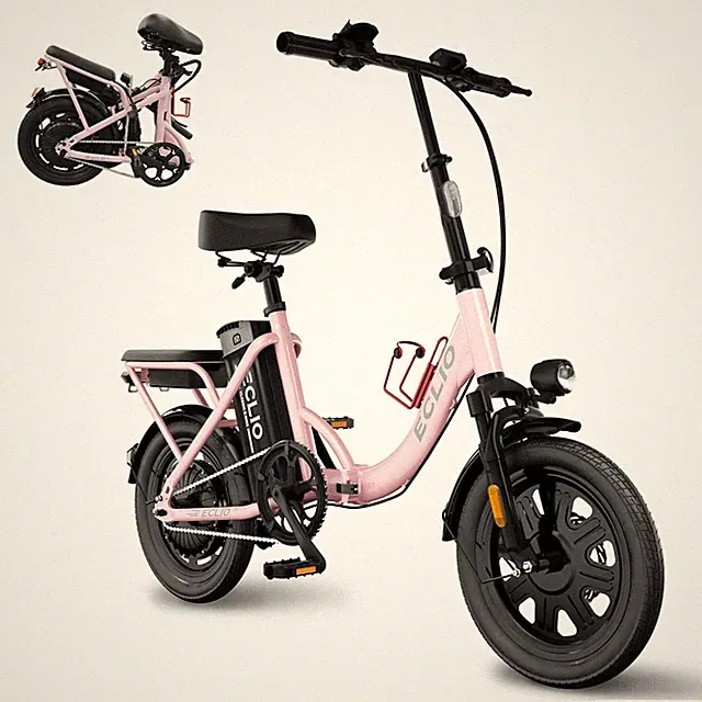 ECLIO 16" Folding Electric Bike for Adults Peak 700W 48V 14Ah Electric Bicycles