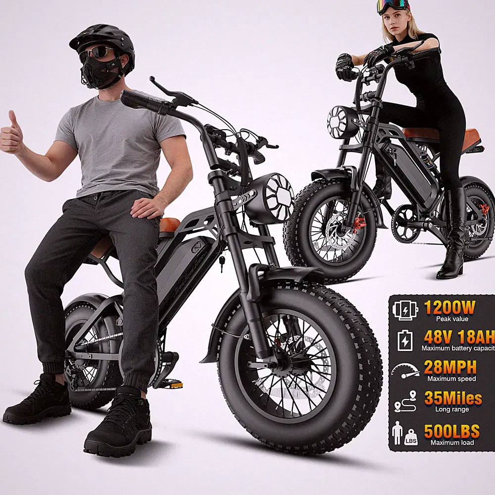 Electric Bike 1200W 48V Dual Suspension 16'' Fat Tire e bike E Bicycle for Adult
