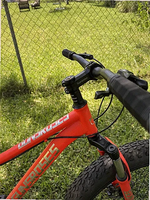 Gunsroses Fat Tire Bike