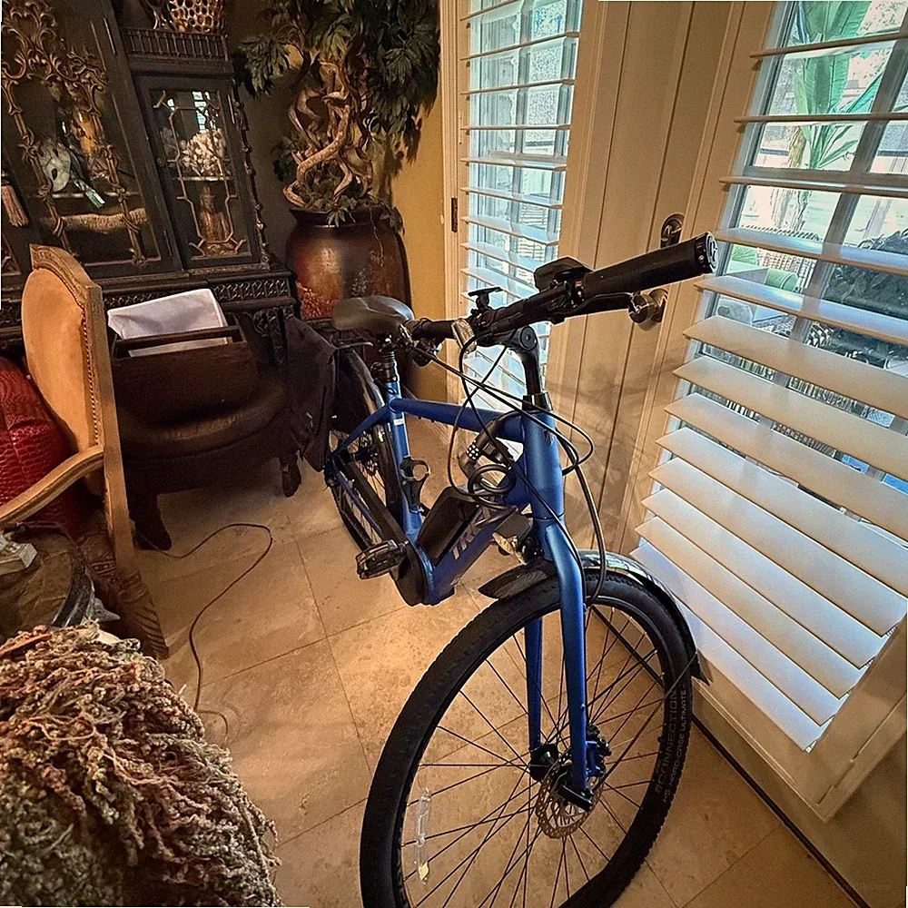 Trek E-City Bike 700C Blue Flat Bar Hydraulic Disc Brakes Front Light